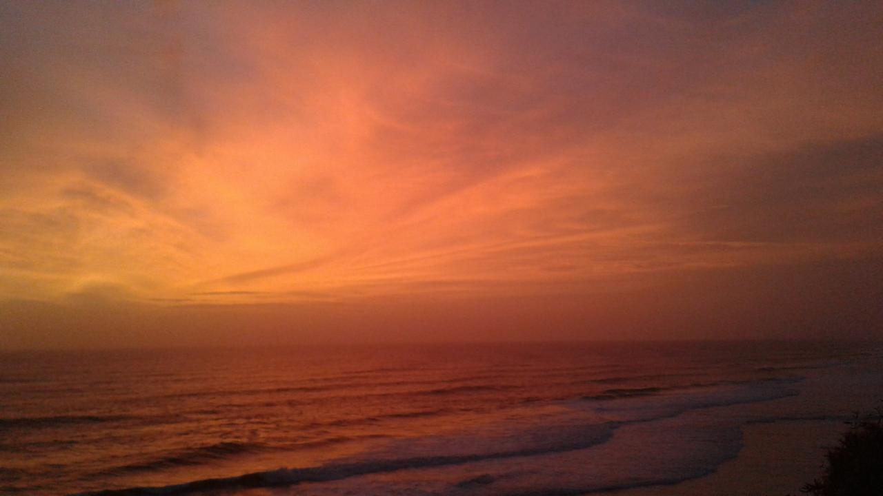Seawin Beach Resort Varkala Kültér fotó
